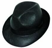 Kangol, Fl�chet, chapeaux et casquettes, mod�le   Panama papier chapeau fashion